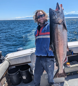 Pink Salmon Delights In B.C Waters